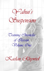 yahuis-suspension-1