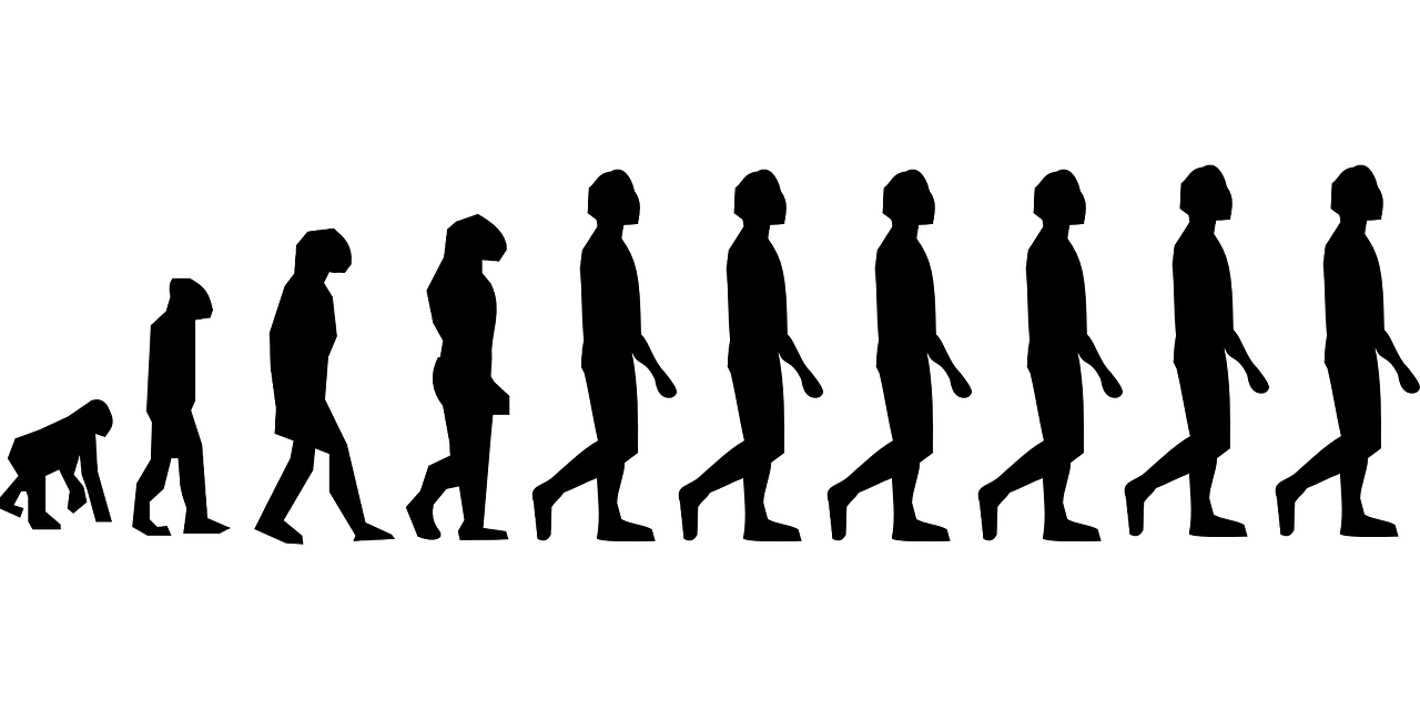 evolution-296584_1280.png