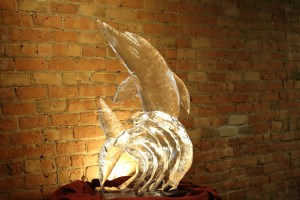 ice-438054_1920
