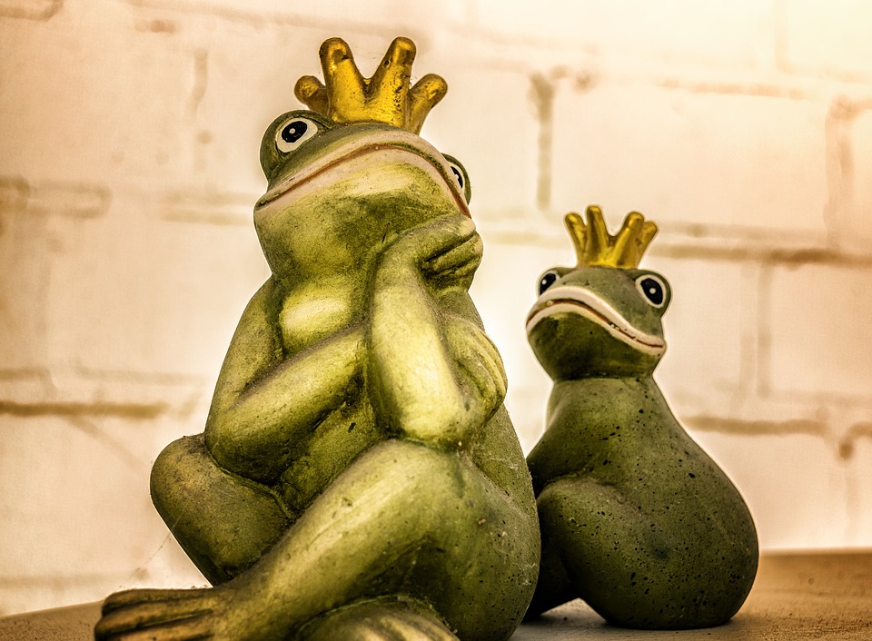 frog-1709324_960_720