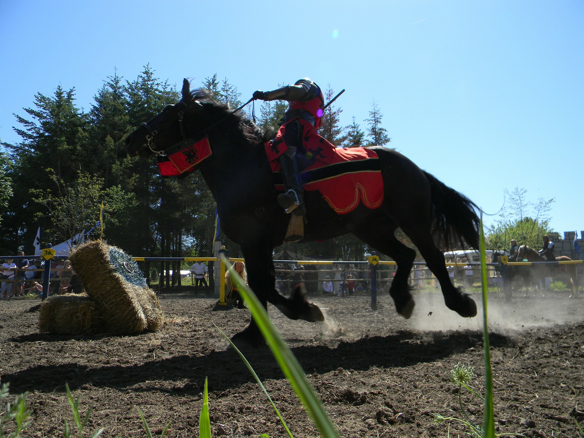 horse-75850_1920.jpg